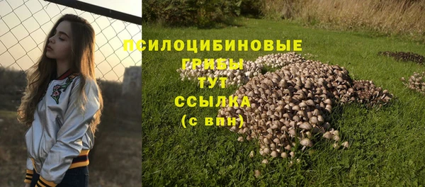 скорость Горняк