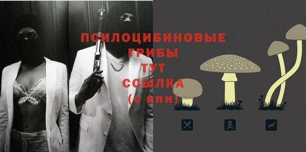 мдпв Горно-Алтайск