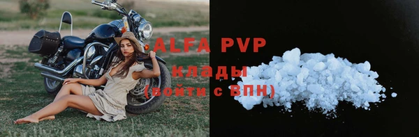 PSILOCYBIN Горнозаводск