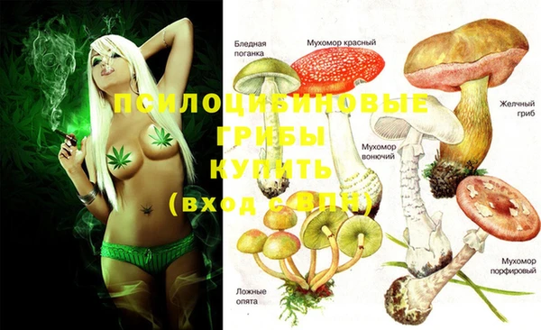 PSILOCYBIN Горнозаводск