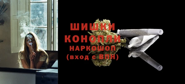 мдпв Горно-Алтайск