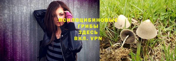 PSILOCYBIN Горнозаводск