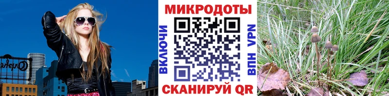 Купить закладки  Ирбит  Галлюциногенные грибы Cubensis 