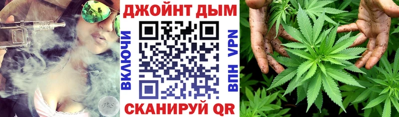 Купить где  Ирбит  Марихуана SATIVA & INDICA 
